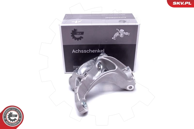 Steering Knuckle, wheel suspension